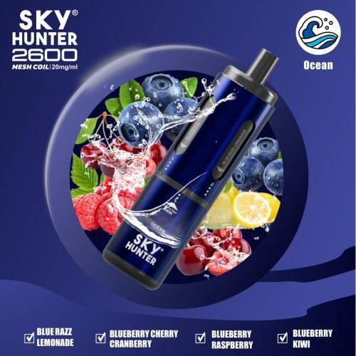 4 in 1 Sky Hunter 2600 Puffs Disposable Vape Box of 5 - Mcr Vape Distro