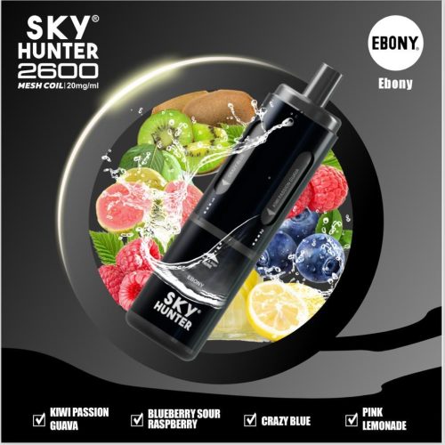 4 in 1 Sky Hunter 2600 Puffs Disposable Vape Box of 5 - Mcr Vape Distro